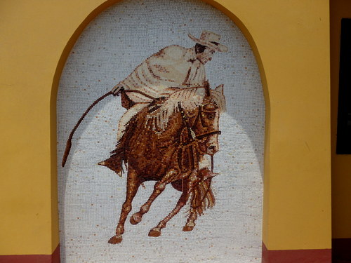 Peruvian Step Horse Show.